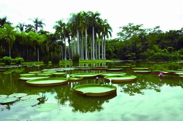 中科院西双版纳热带植物园
