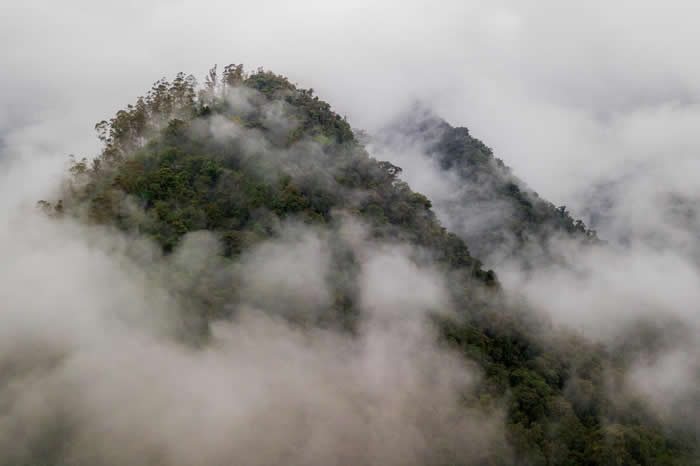 厄瓜多西部的热带雨林属于查科地区，具有丰富的生物多样性。在这些云雾下，该区拥有至少25%的全球植物多样性，还有只在当地栖息的动物物种。 PHOTOGRAPH B