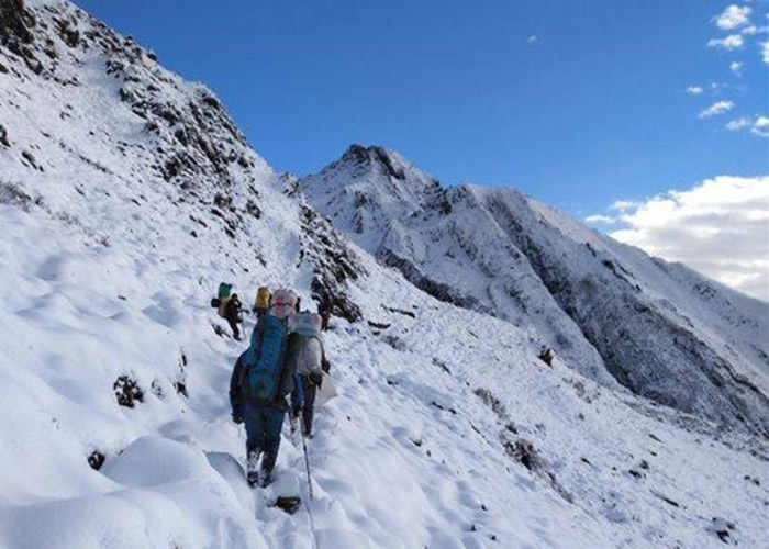成都首次进行雪豹专项调查。
