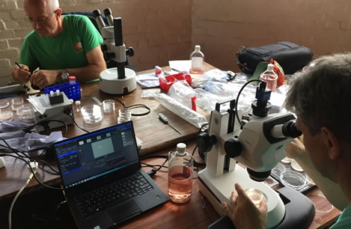 科学家合作发展人工受孕计划。