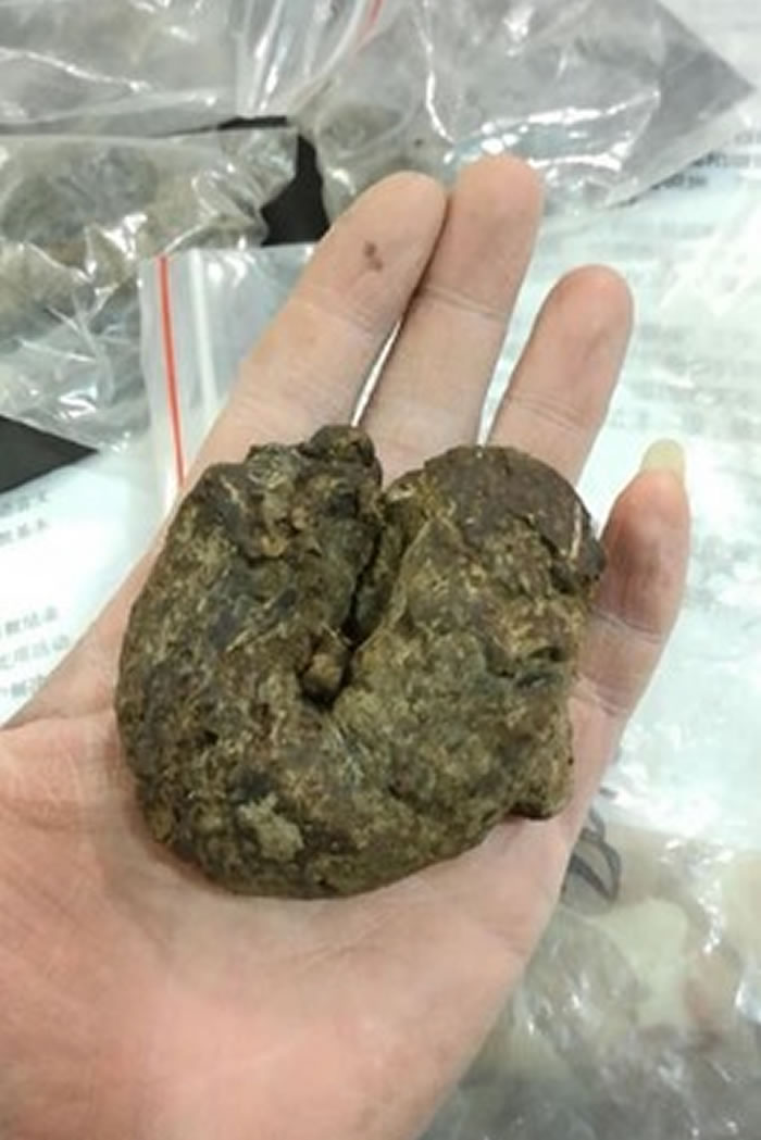 乌鲁木齐东部和南部的山区，都有发现雪豹频繁活动的踪迹，从学者采集的粪便更可以确认。
