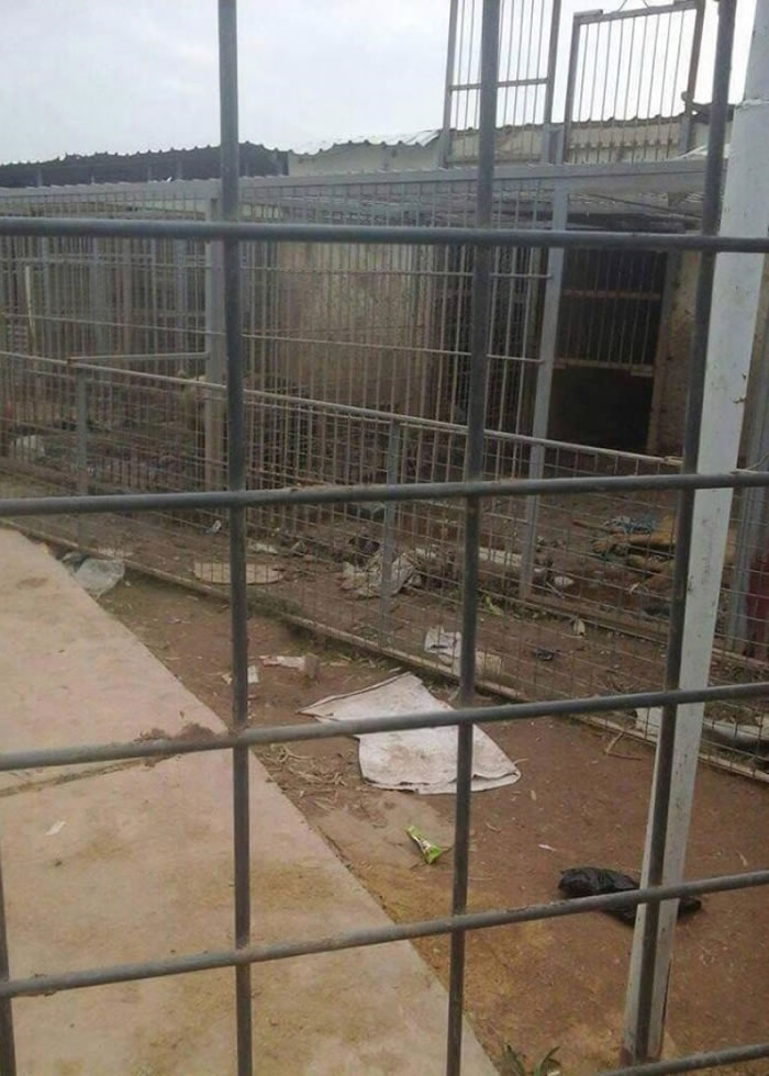园内有大量动物饿死。