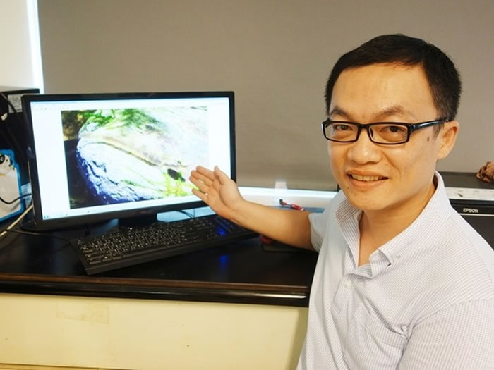 中山大学海洋科学系助理教授廖德裕发现，鱼也吃鱼翅。（图／中山大学）