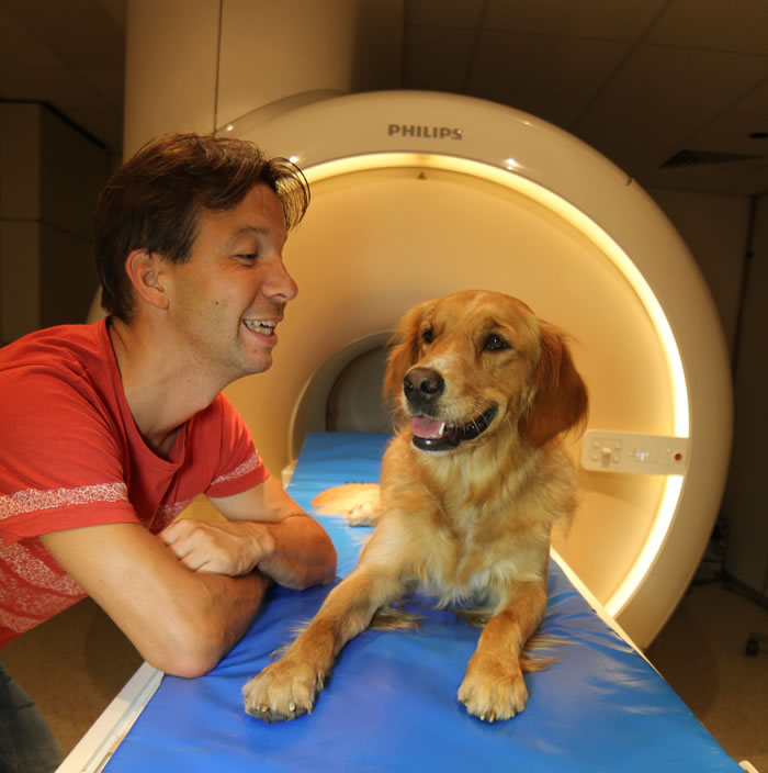 犬类能分辨人类语言中的词汇和语调