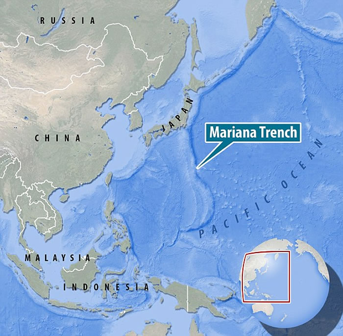 马里亚纳海沟2500公尺深海发现透明裸鼬鱼科“鬼鱼”