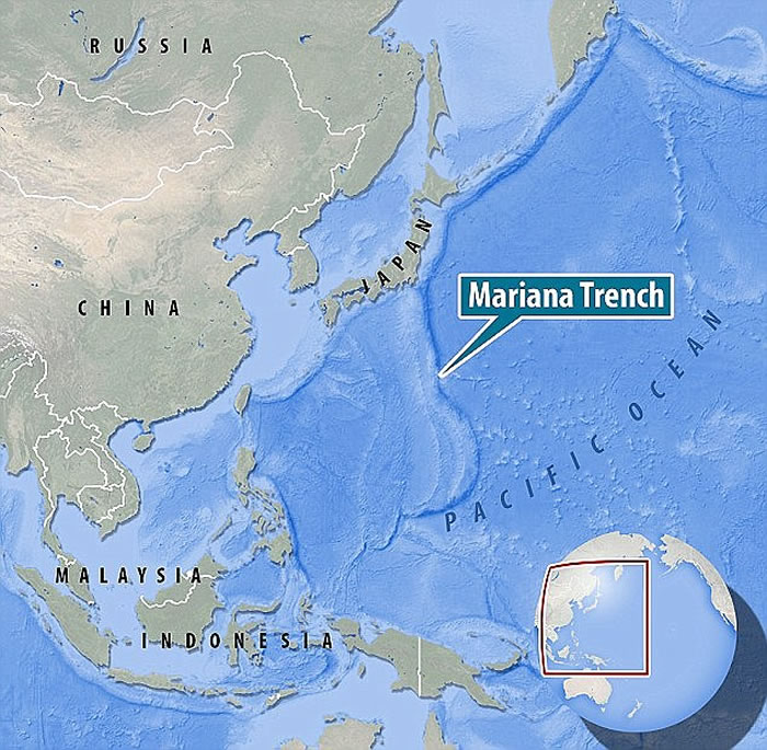 研究人员在马里亚纳海沟进行勘测活动，发现一种类似球状的水母新物种，此外还发现了六鳃鲨鱼和各种鱼类。