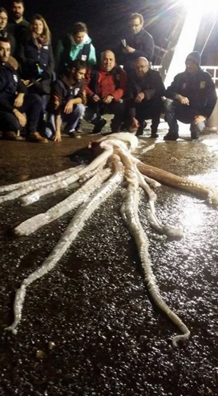 渔夫与鱿鱼合照