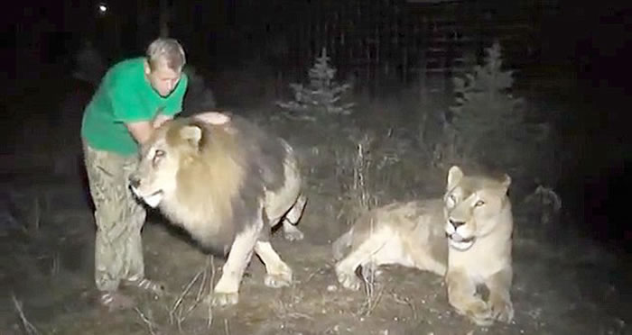 克里米亚别野生动物园推出夜间近距离接触野生动物项目