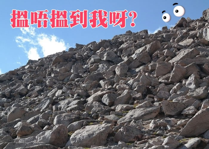 大角羊隐藏于石堆之中，你可找到它？