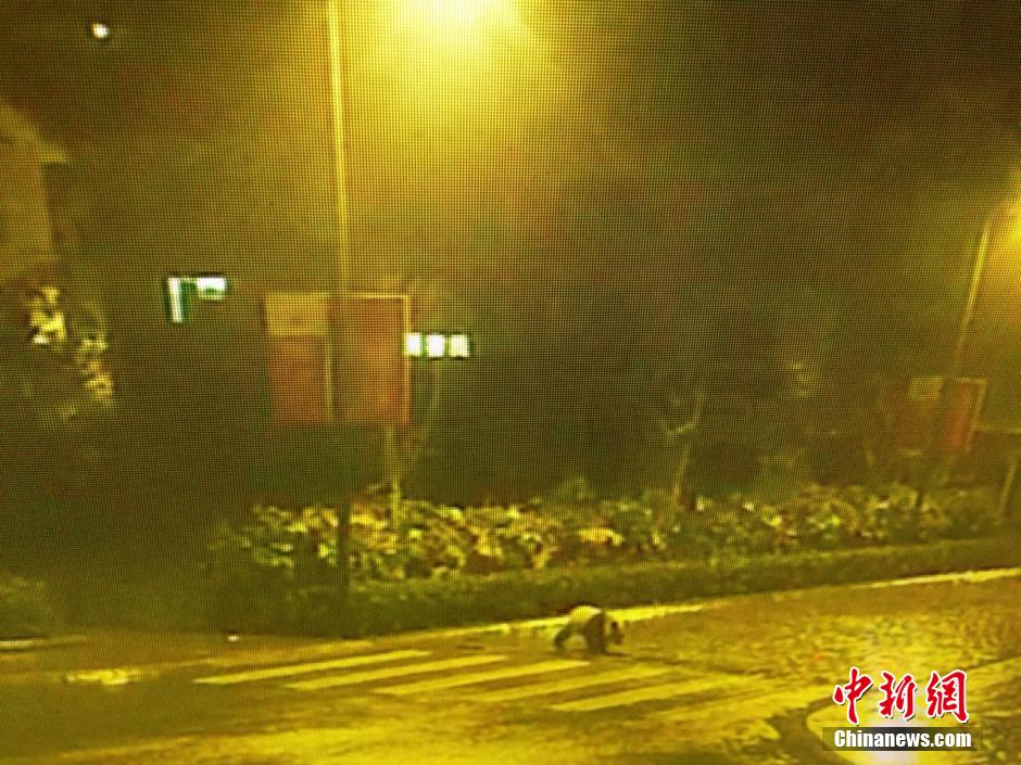 图为监控录像3月5日记录下的视频影像
