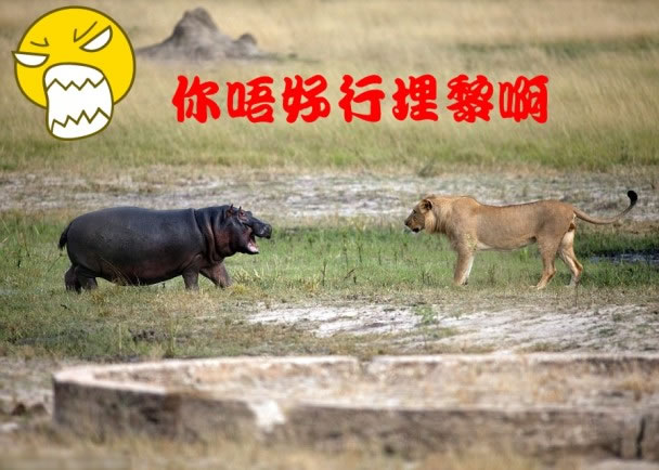 怒吼退敌