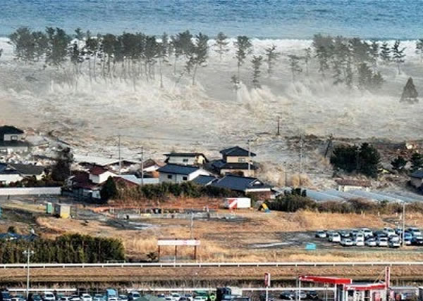 2011年东日本大地震（图）前夕，茨城县附近也曾发生大批海豚搁浅事件。