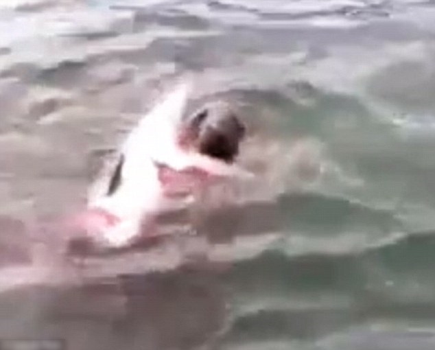 海水染成血色
