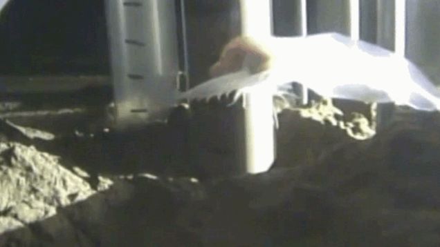 鱼类的海洋栖息深度纪录打破：太平洋马里亚纳海沟8145米深海床上发现“狮子鱼”