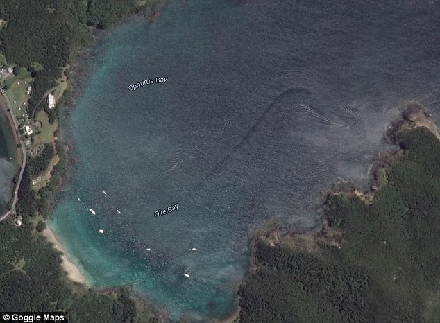 谷歌地图在新西兰北部奥克湾海域拍到巨大神秘海洋生物