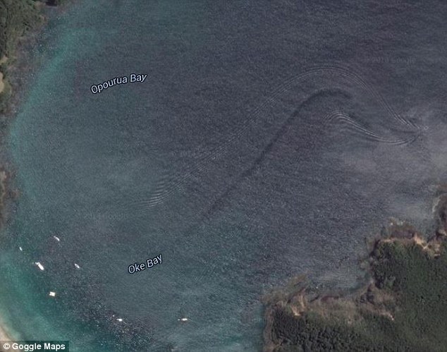 谷歌地图在新西兰北部奥克湾海域拍到巨大神秘海洋生物