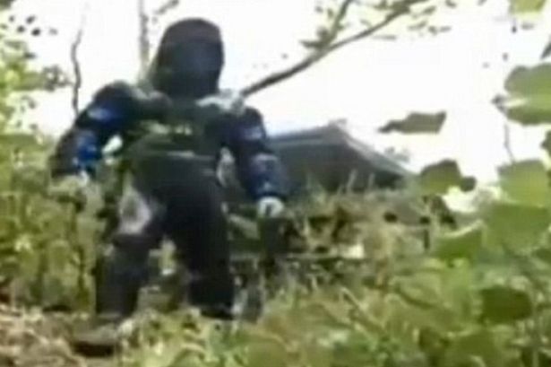 美国野生动物专家自愿被水蟒生吞 用摄像头拍摄水蟒身体内部结构