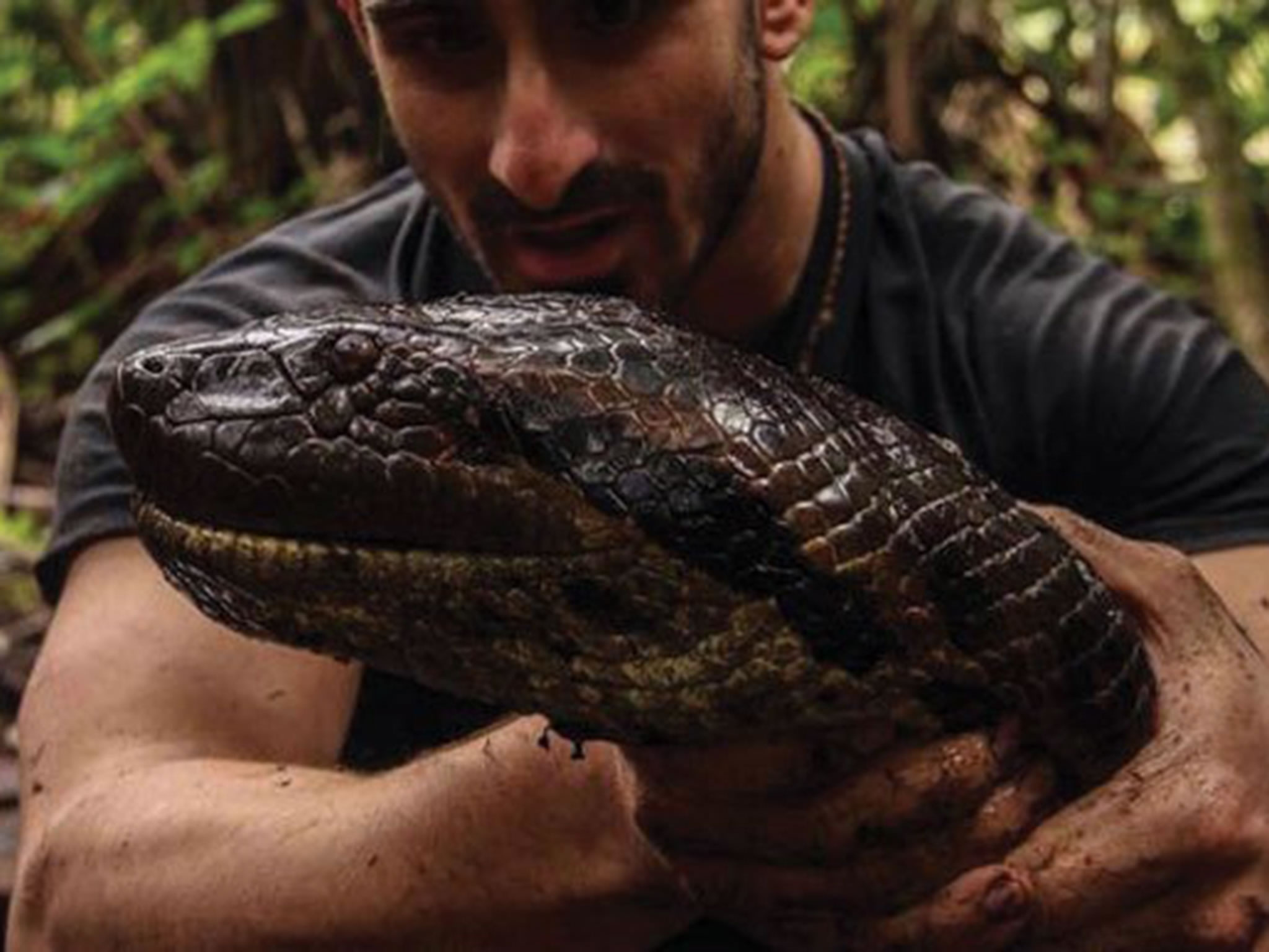 Discovery《Eaten Alive》：让野生动物专家被一条大蟒蛇活活吞下去
