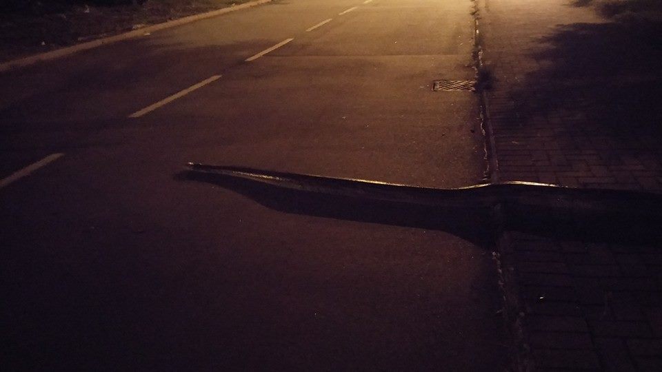 发现者拍照后就离去，并无报警处理。