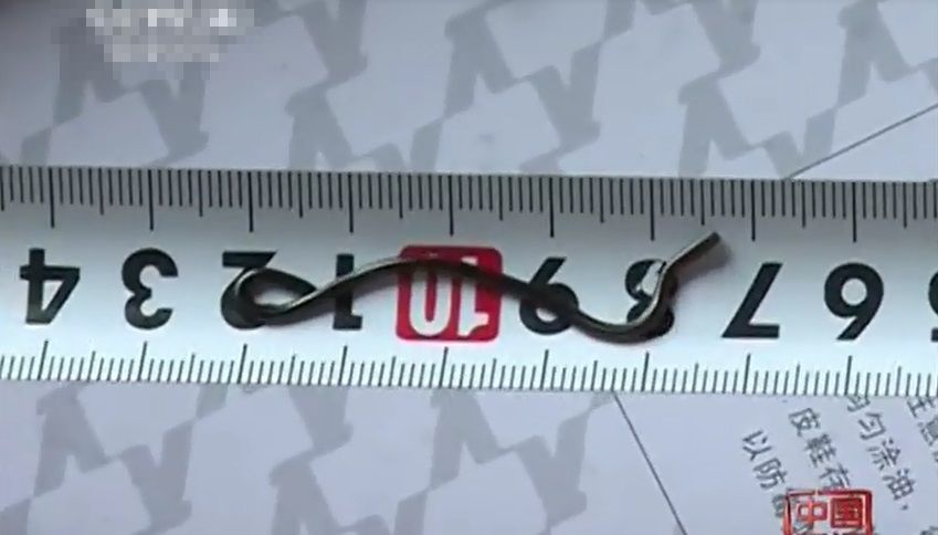 贵州省黔西南布依族苗族自治州发现超袖珍“盲蛇”