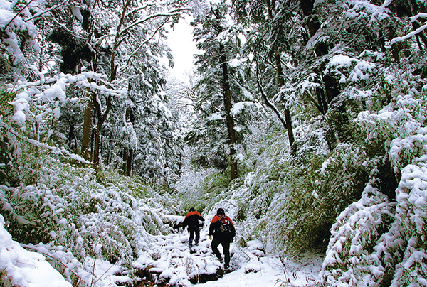 四川的王朗国家级自然保护区内，研究人员在初春的冰天雪地中进行大熊猫调查。在中国，每年春季都会针对每一个大熊猫保护区进行监测，工作人员上山进行大熊猫的痕迹调查，以