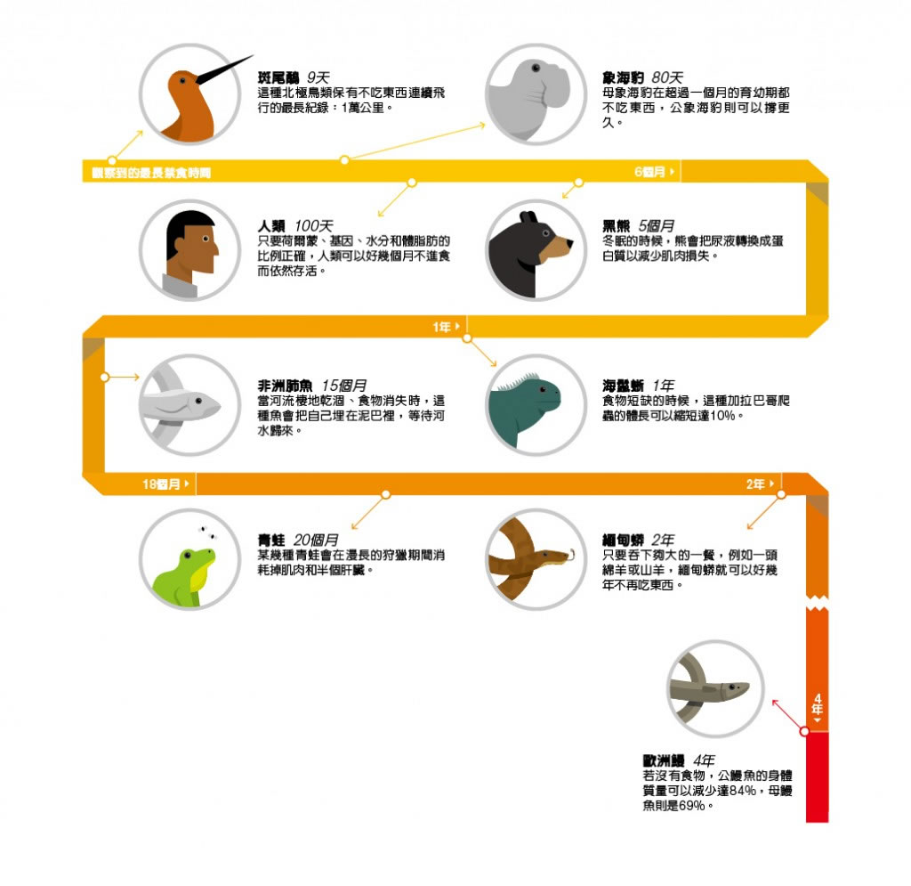 最不怕饿的动物是…