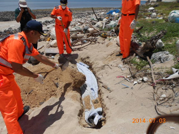 海巡人员将死亡海豚就地掩埋，希望海豚能够安息。