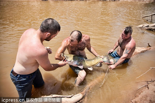 美国渔民徒手抓鲶鱼
