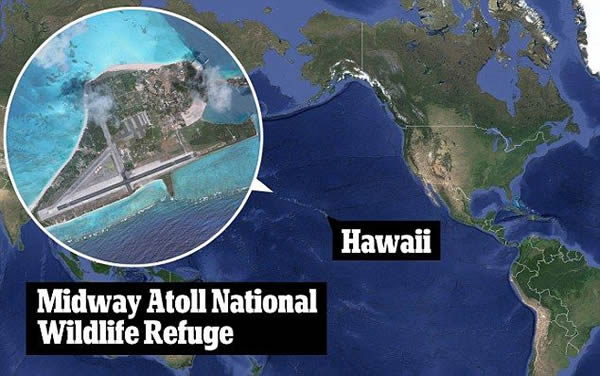太平洋中途环礁国家野生动物保护区