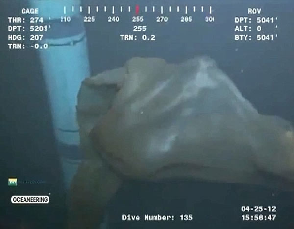 墨西哥湾5000英尺深海中拍摄到的“海怪”证实为胎盘水母