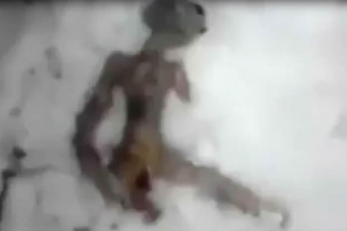 俄罗斯西伯利亚的伊尔库次克雪地发现外星人尸体？政府声明影片纯属恶作剧