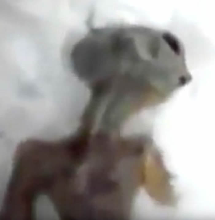 俄罗斯西伯利亚的伊尔库次克雪地发现外星人尸体？政府声明影片纯属恶作剧
