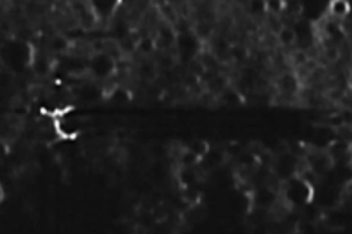 UFO爱好者在观看月亮卫星图片时发现不明白色物体 专家称是外星人基地