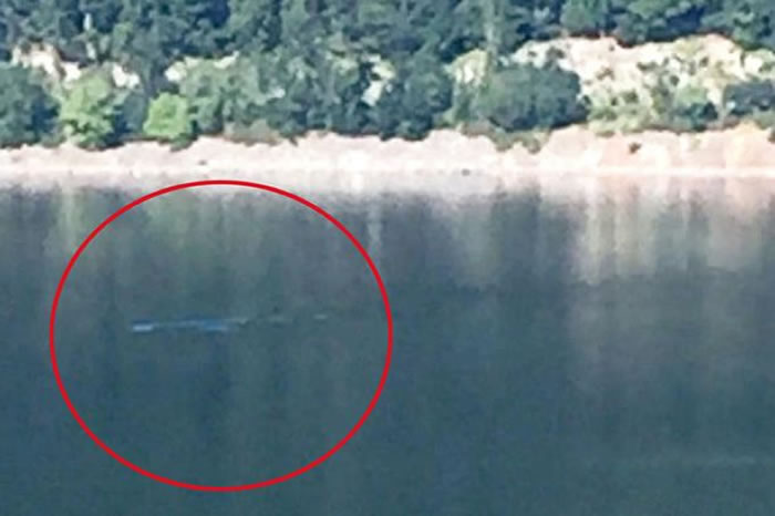 尼斯湖水怪再度现身？游客湖边享用午餐时发现水面出现神秘涟漪