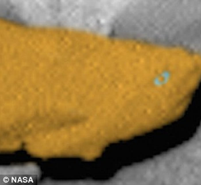NASA好奇号拍到火星上有条化石大鱼？