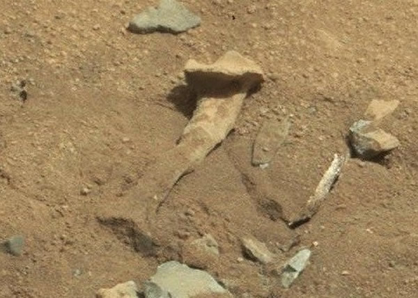 UFO爱好者在美国NASA的火星照片中发现一块大骨头