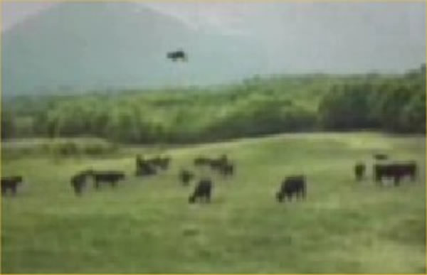 美国联邦调查局FBI解密文件：UFO偷牛