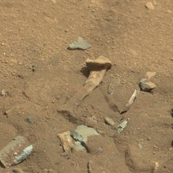 NASA火星照片惊现外星人大腿骨？