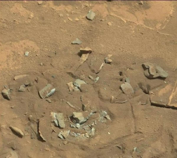 美国NASA辟谣火星照片上发现股骨：风化岩石而已