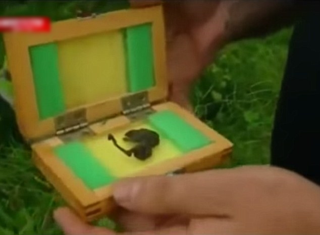 俄罗斯有民众发现一具不明生物的尸体