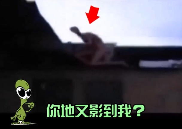 人形生物全身赤裸，一身粉红色肌肤