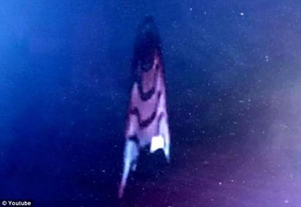 UFO观测者托比·伦德宣称他看到在空间站的外侧有一个UFO，随后直播画面就被切断，信号一直中断了大约10~15秒。这名UFO观测者宣称他截屏到了相关画面(如图所