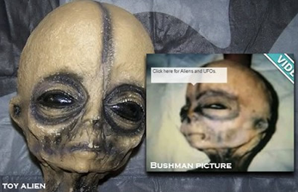 布希曼照片中外星人的眼睛是半张的，跟左边的公仔不一样。