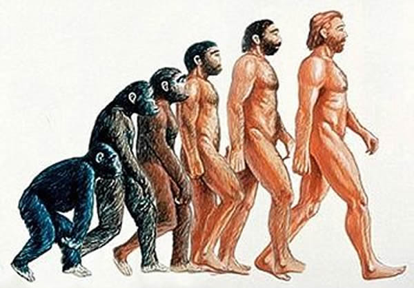 野人是远古智人进化到现代人之间缺失的一环”这一说法是没有任何科学依据的。