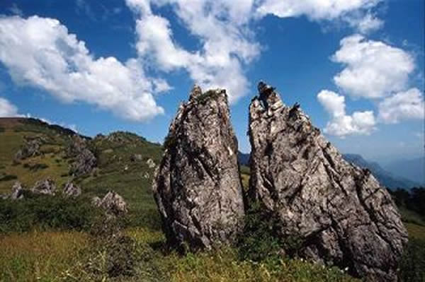 神农架崇山峻岭、森林密布，本来直立行走的人进去都得匍匐和攀援，“野人”在进化过程中不可能解放双手。