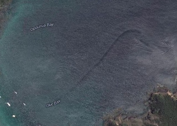 Google Earth在新西兰海域拍到疑似巨大水怪照