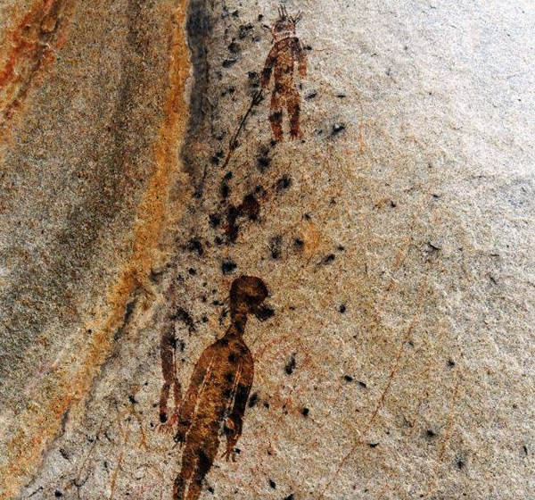 画面出现的疑似外星生物