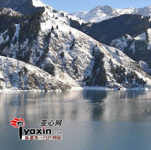 11月24日近百名游客在天池目睹两只“水怪”