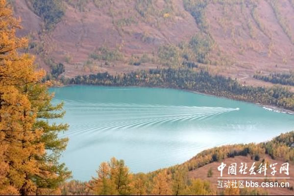 游动的水怪