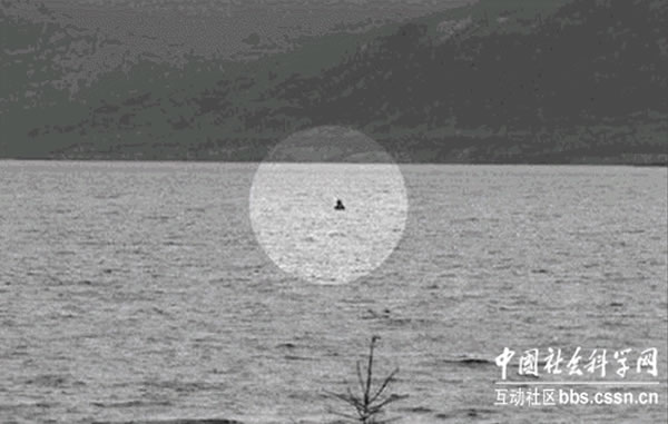 照片上的神秘物体